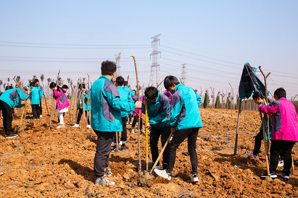 “攜手植樹，共創(chuàng)藍天”丨南京新華師生共筑新華育才林