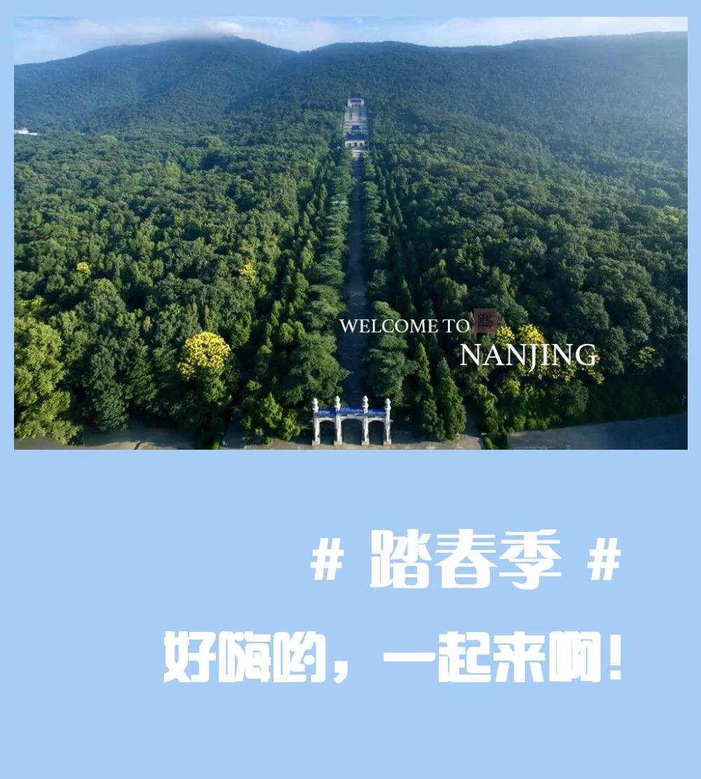 安排上了，南京新華邀你共赴免費體驗營