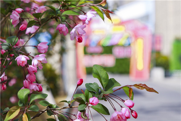 春暖花開，等你歸來——邀你云賞南新春景，以慰思念