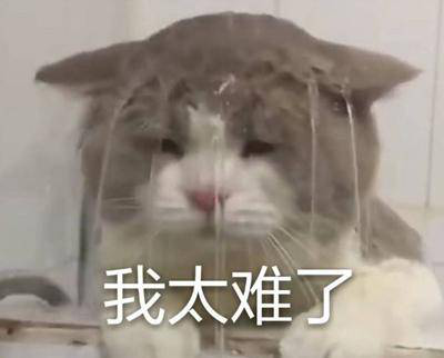 勁爆！新華電腦教育服務(wù)旗艦店正式入駐天貓，課程1折秒殺！