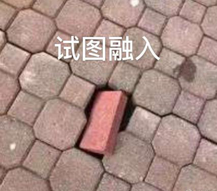 新華互聯(lián)網(wǎng)科技正式入駐Bilibili！會(huì)摩擦出什么樣火花呢？